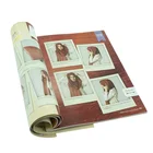 Low Price Book Printing Paperback Offset Comic Book Cheap Comic Book Printing