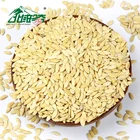 Wholesale Chinese high quality raw material cucumber seeds cucumber seeds for sale