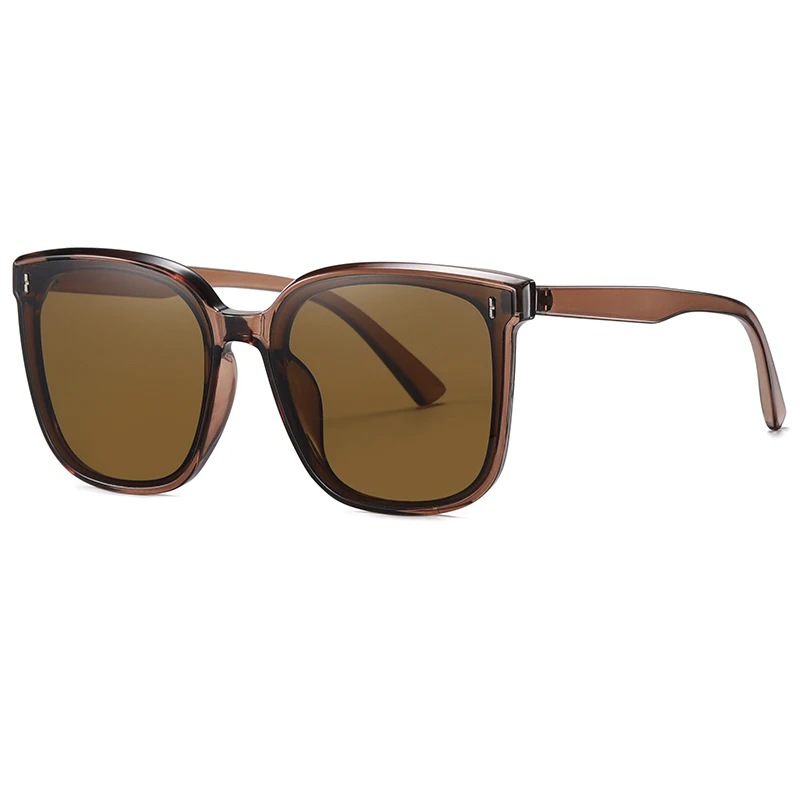 DCOPTICAL 2021 start styles double bridge gm style big frame nylon plastic square uv400 sunglasses
DCOPTICAL 2021 start styles double bridge gm style big frame nylon plastic square uv400 sunglasses