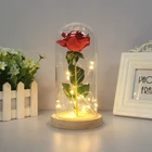 Decorative Glass Display Decorative Led Domes Baby Showers Large Globe Bell Jar Clear Glass Dome Wood Base