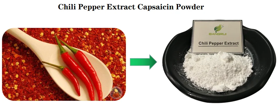 food & medical grade capsaicin powder stomach digestion natural