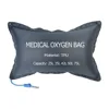 /product-detail/2019-new-design-surgical-portable-oxygen-inhaler-62373782435.html