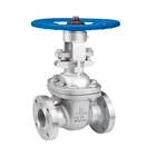 High efficiency ANSI stainless steel gate valve for gas water oil