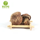 Mushroom Extract Factory Supply Agaricus Blazei Murrill Subrufescens Murill Polysaccharides Beta Glucan Powder