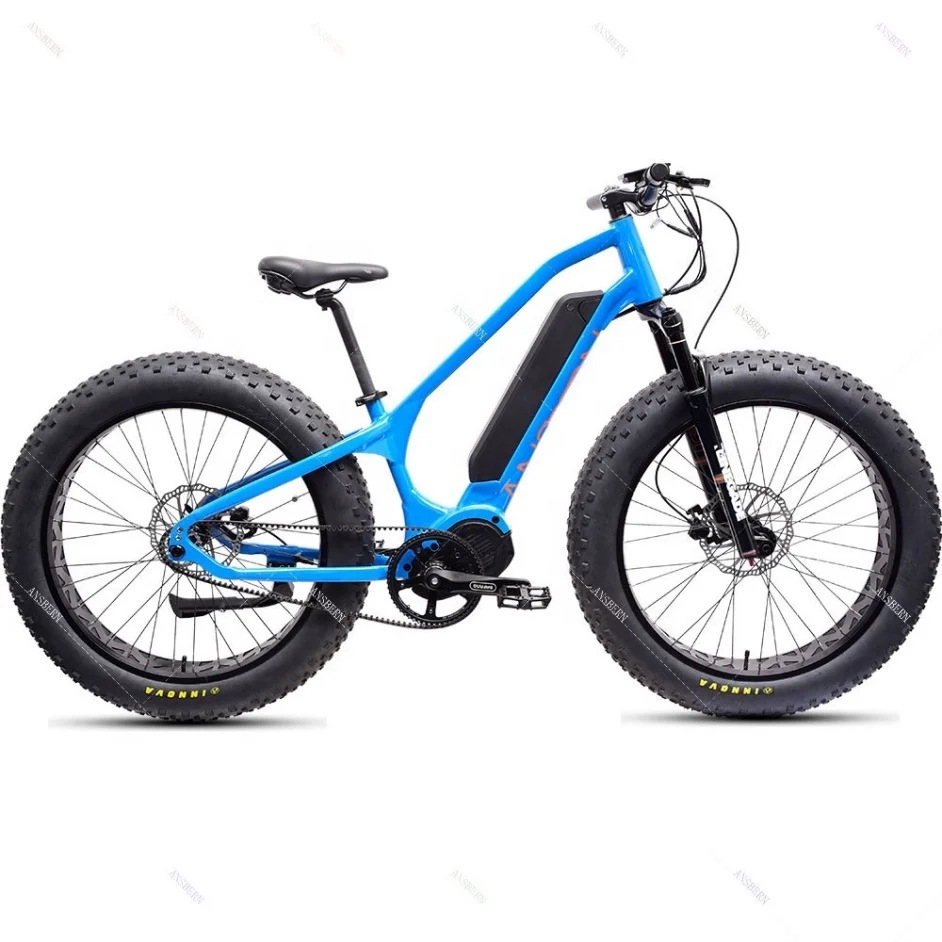 sobowo fat bike