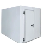 Deep Freezer Projects cold storage engineering With Cold Room Sliding Door