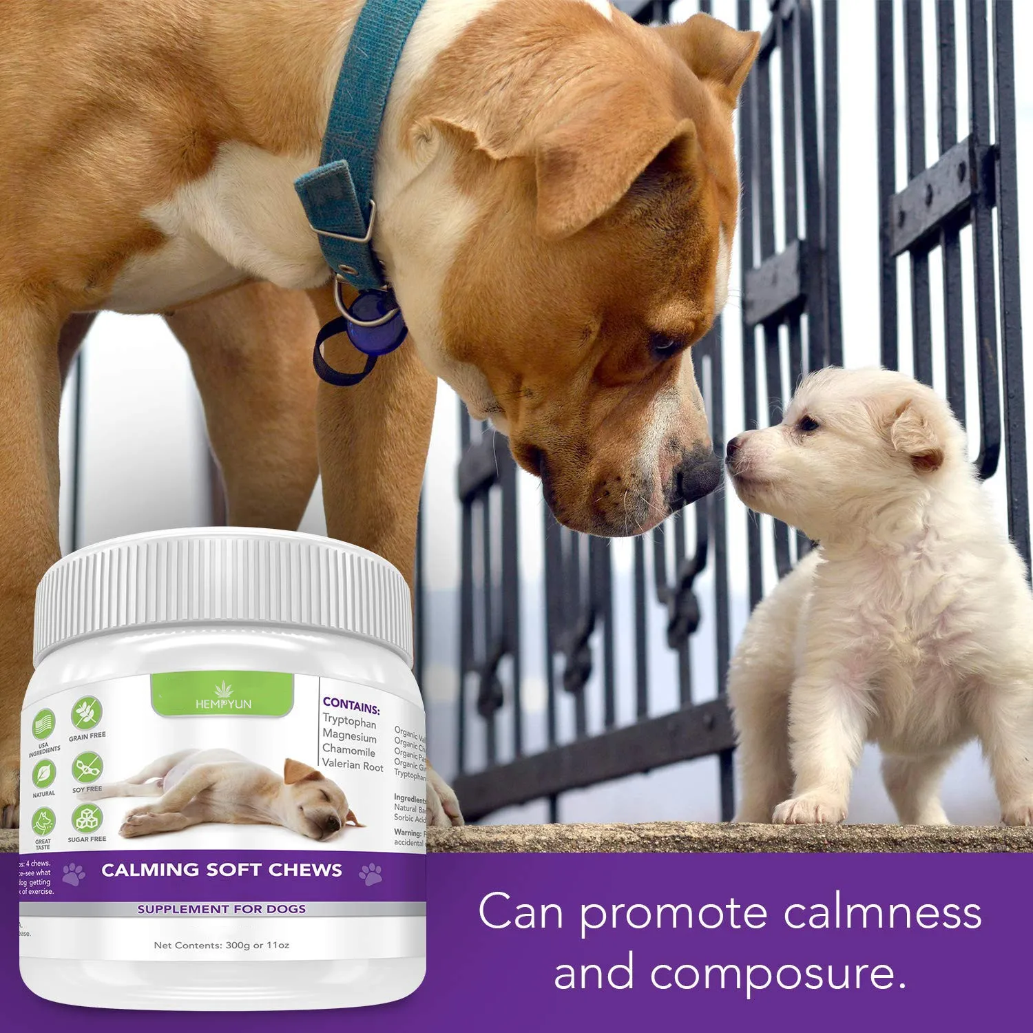  Discover the Ultimate Guide to Ke Ola Pet: Elevate Your Pet's Wellness and Happiness