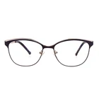 Newest Custom Metal Eyeglasses unisex computer glasses stainless steel half frame optical frames
