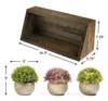 Super September quick shipping Set of 3 Artificial Plastic Mini Plants Unique Fresh Green Grass Flower with shelf