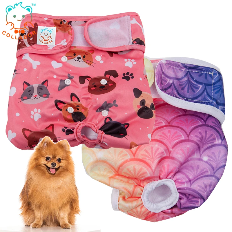 COLLABOR King Charles Spaniel Dog Quality Diapers Breathable Mesh Layer Dog Male Diaper, Solid, print, digital print
COLLABOR King Charles Spaniel Dog Quality Diapers Breathable Mesh Layer Dog Male Diaper, Solid, print, digital print