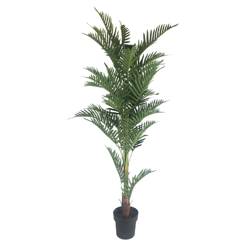 factory sale Polyester natural bulk big tree artificial Bamboo in black plastic pot Coastal for backyard garden department store
factory sale Polyester natural bulk big tree artificial Bamboo in black plastic pot Coastal for backyard garden department store