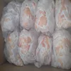 /product-detail/halal-fresh-frozen-chicken-fillet-62011165194.html