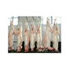 /product-detail/best-quality-frozen-lamb-meat-at-bulk-price-62016181301.html