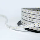 高輝度 AC 110V 220V 屋外 2835 SMD 防水 IP67 LED ストリップのための家の装飾照明