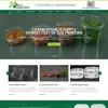 Professional Website Designing and Services - SEO Friendly Web Design, Logo Designing