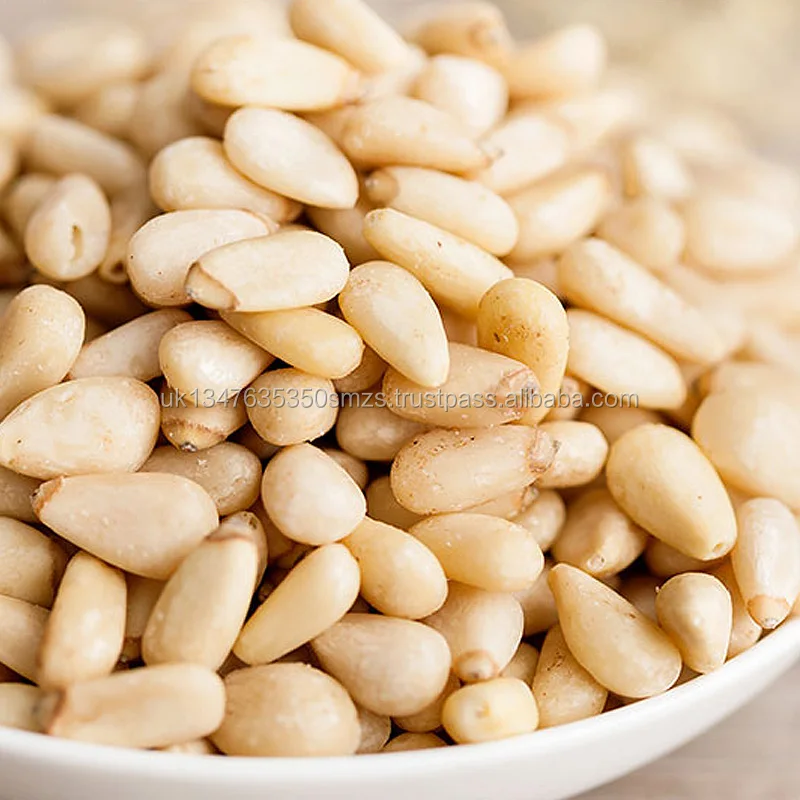 organic pine nut kernel price / chinese pine nut