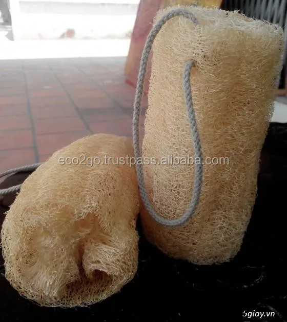 natural eco-friendly loofah sponge / raw loofah sponge made in