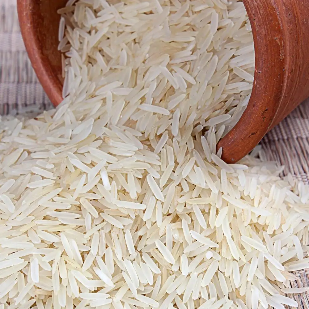 أرز غير بسمتي أرز هندي غير بسمتي أرز طويل الحبة