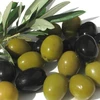 Quality Scratched Green Olives in Brine From Aegean Zone