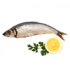 /product-detail/frozen-whole-round-sea-frozen-herring-sardine-62017347575.html