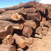 /product-detail/brigalow-logs-62008306835.html