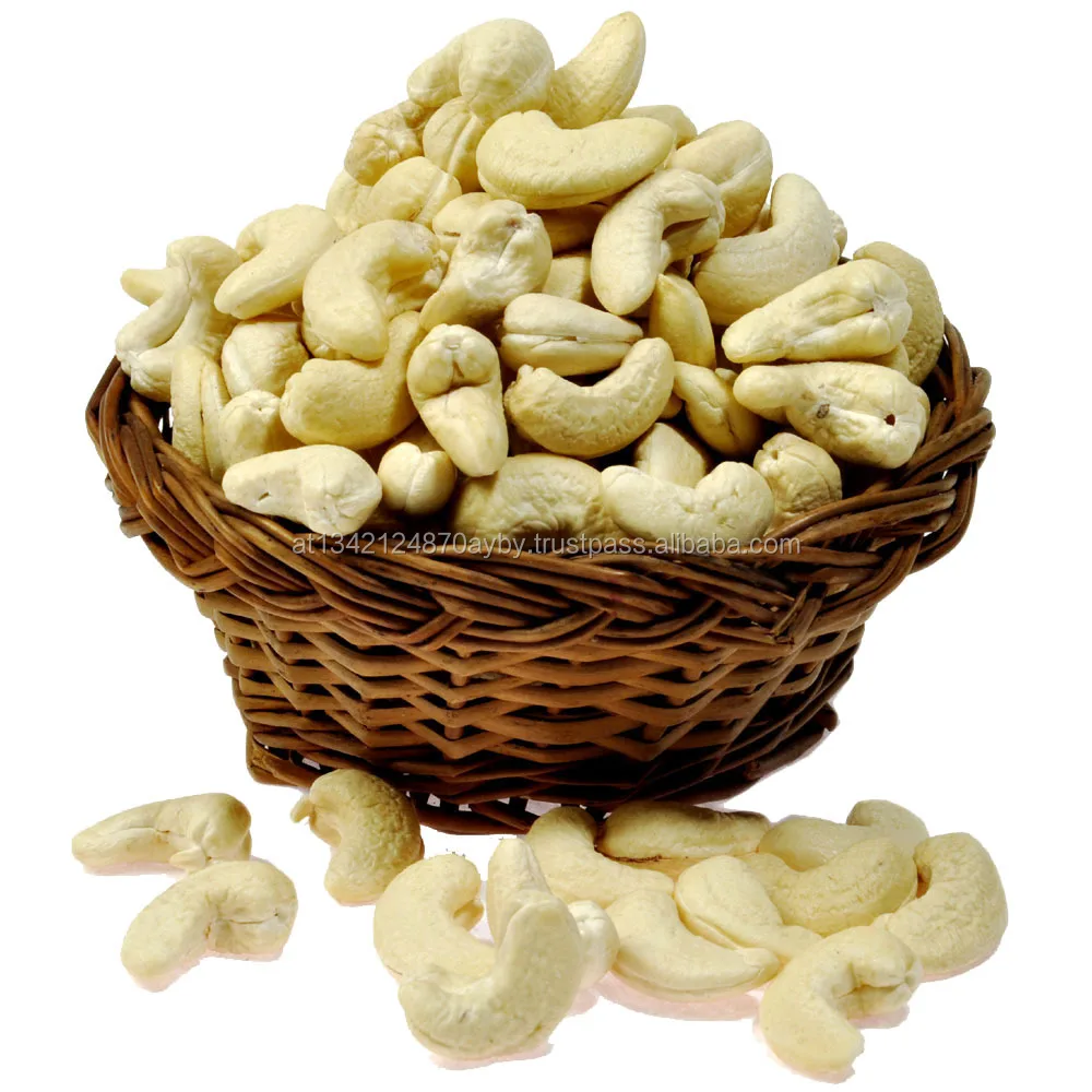 cashew nuts w180 w240 w320 w450 | premium quality