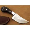 /product-detail/wsk-best-wholesale-knife-stainless-steel-wooden-handle-small-tremendous-skinner-knife-hmz656--62013027332.html