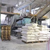 /product-detail/high-quality-premium-grade-backing-wheat-flour-62009915065.html