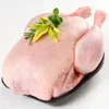 /product-detail/halal-whole-frozen-chicken-eggs-breast-fillet-legs-62006507052.html