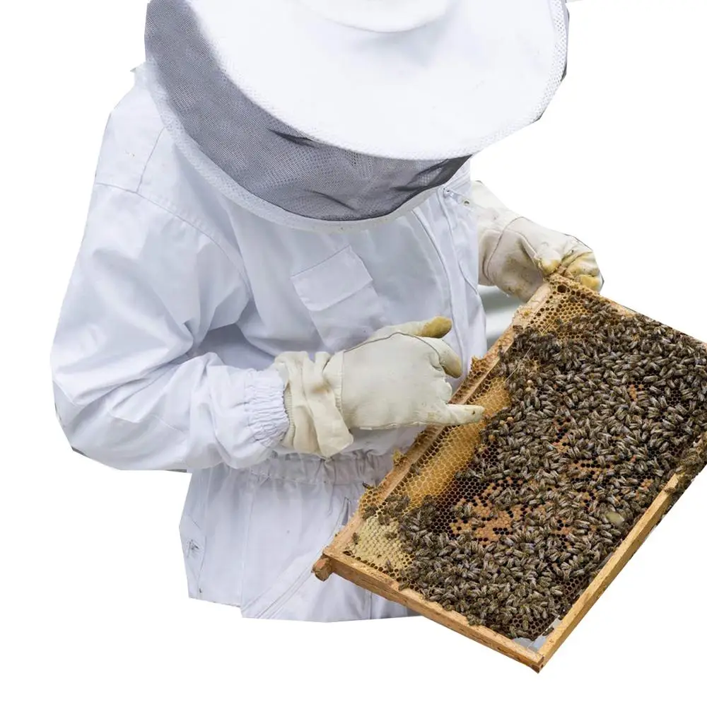 Profesional abeja mantener traje de algodón traje de cuerpo completo de la apicultura Chaqueta de traje con velo Hood
