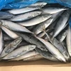 /product-detail/wholesale-frozen-atlantic-herring-clupea-harengus--62010414113.html