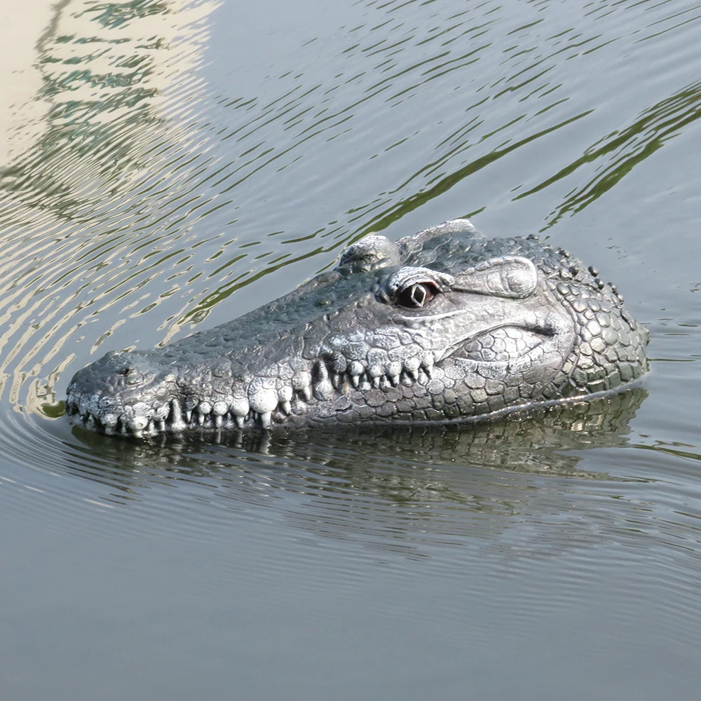 rc crocodile head