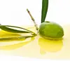 Pomace Olive Oil in bulk