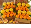 /product-detail/best-quality-fresh-valencia-orange-62011455950.html