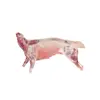 /product-detail/halal-frozen-goat-meat-carcass-great-price-fast-shipment--62013068654.html