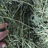 /product-detail/top-quality-alfalfa-hay-lucerne-hay-turkish-alfalfa-62012576515.html