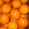/product-detail/fresh-oranges-naval-and-valencia-tangerine-mandarine-62012926648.html