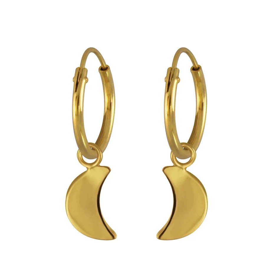 Silver Earrings Jewelry Wholesale 925 Sterling Silver Gold Plated Moon Pendent Hoop Earrings
Silver Earrings Jewelry Wholesale 925 Sterling Silver Gold Plated Moon Pendent Hoop Earrings