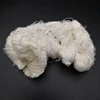 THE BEST QUALITY 100% COTTON WEAVING YARN WASTE FOR SALE