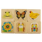 Montessori Kids toy wooden toy educiational toy montessori material growth process package