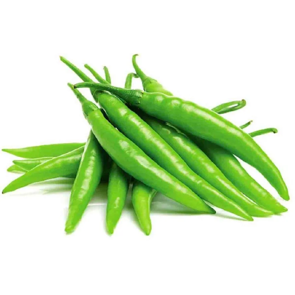 新鲜短绿辣椒 - buy 印度干绿色辣椒,泡菜绿色辣椒