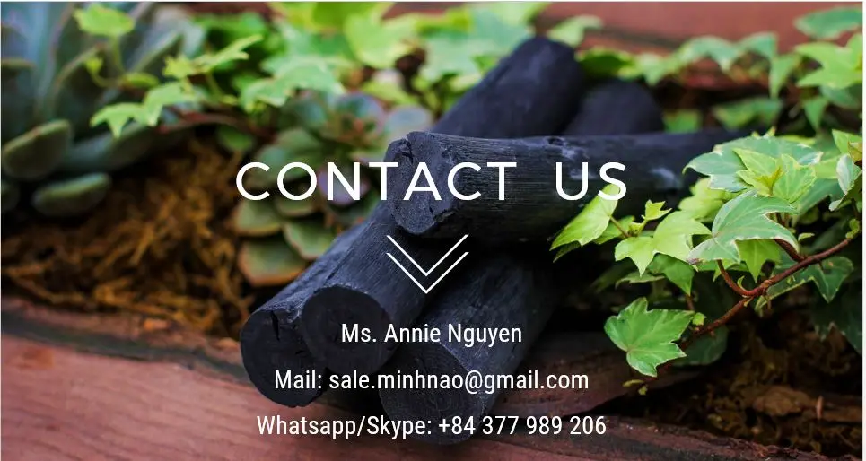 Genuine Binchotan Charcoal for Water Purification or Water Filter WHITE CHARCOAL Hard Wood Stick from China supplier