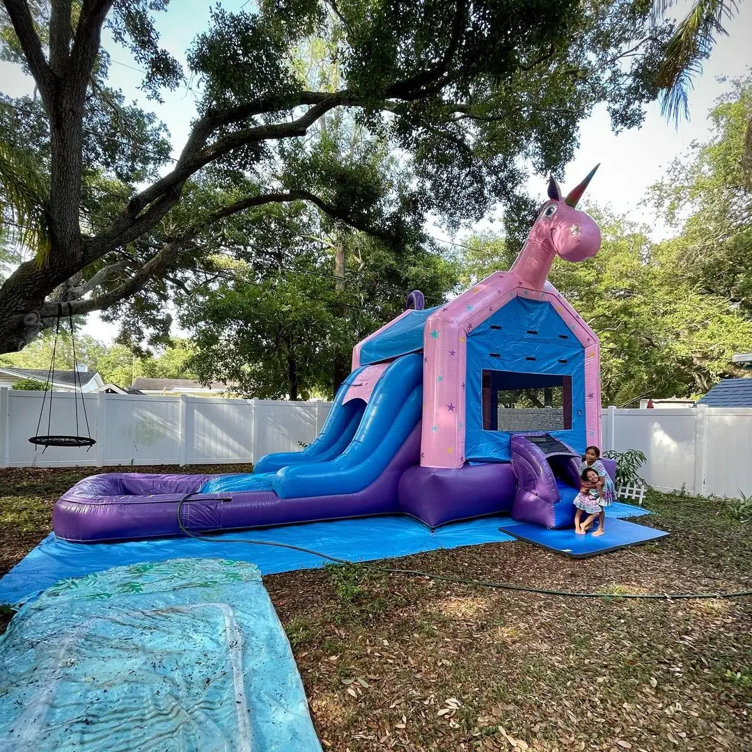 Outdoor commercial china inflatable bouncer indoor inflatable bouncers for kids, Customized
Outdoor commercial china inflatable bouncer indoor inflatable bouncers for kids, Customized