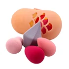Makeup Sponge Holder Make up Powder Puff Silicone Travel Drying Carrying Case