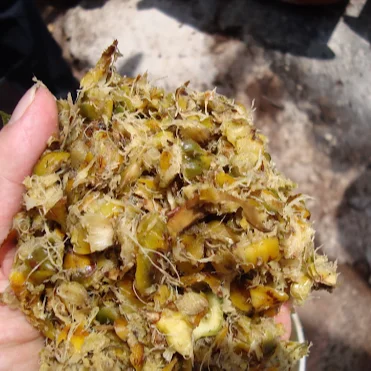 Dried pineapple feed/ pineapple silage/ fermented pineapple (Ms.Holiday)
