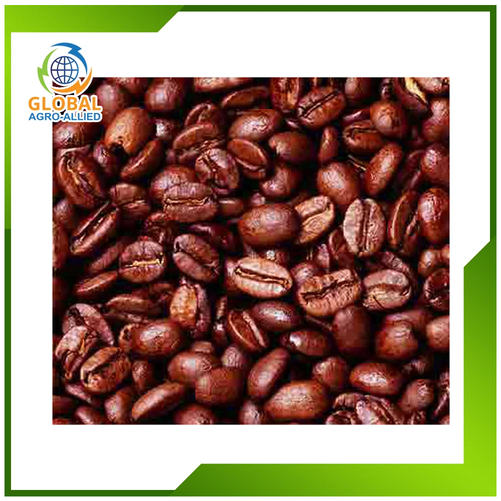 Hot Selling High Grade Organic Dried Cocoa Beans