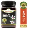 /product-detail/manuka-honey-800-mgo-500-grams-made-in-new-zealand-100-pure-and-natural-active-and-raw-methylglyoxal-content-tested-62016226887.html