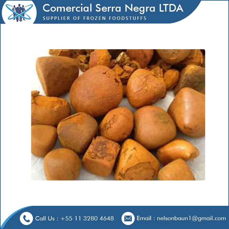 ox gallstones /cow gallstone