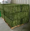 /product-detail/alfalfa-hay-pellets-alfalfa-cubes-62017155706.html