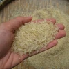 100% broken white rice